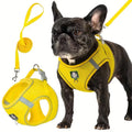 Burst - Colourful Dog Harness and Leash Set
