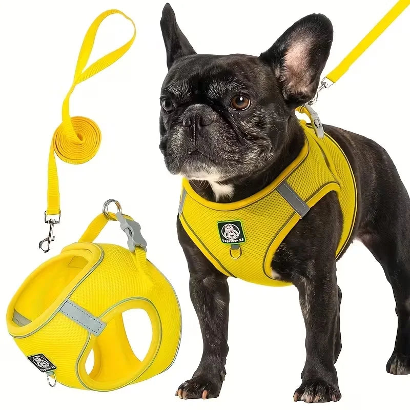 Burst - Colourful Dog Harness and Leash Set