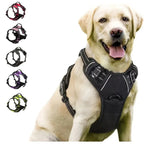Glide - Adjustable Dog Harness and Leash Set