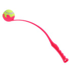 Pet Ball Launcher Toy