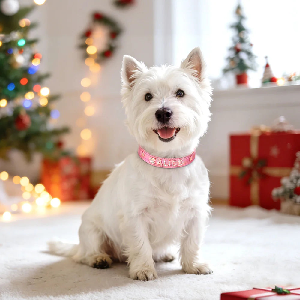 Glimmer - Personalised Rhinestone Name Pet Collar