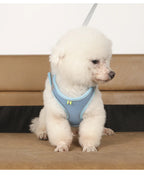 Mini - Small Dog and Cat Harness Leash Set