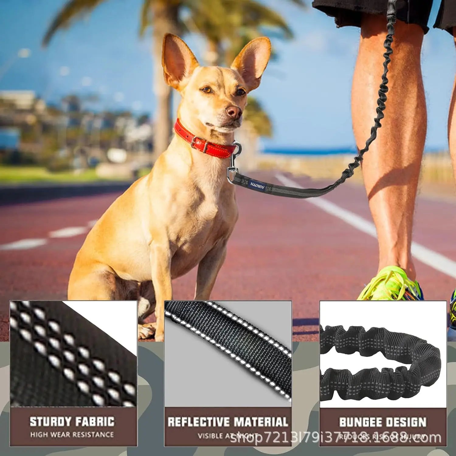 Reflective Bungee Dog Leash