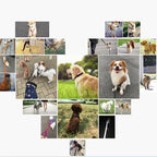 Long Nylon Dog Training Lead