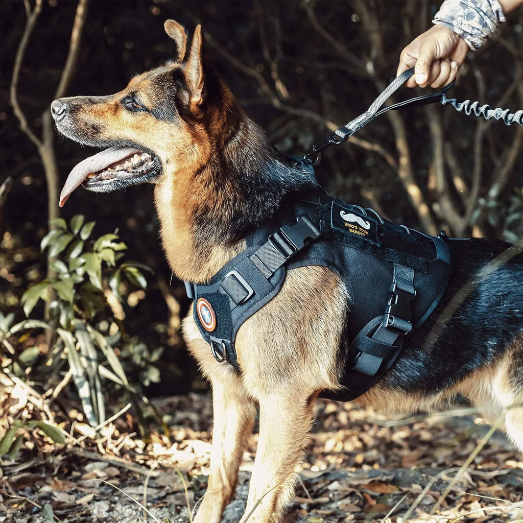 Trek - Tactical No-Pull Dog Harness