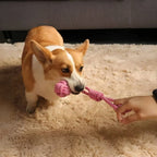 Cotton Rope Dog Ball Toy