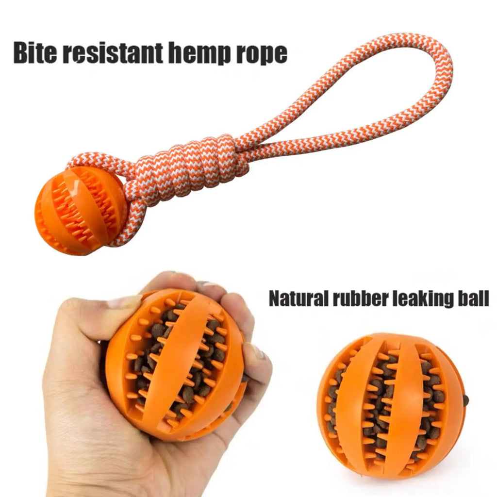 Treat-Dispensing Dog Toy Ball