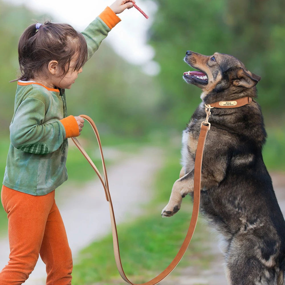Padded PU Leather Dog Leash