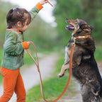 Padded PU Leather Dog Leash