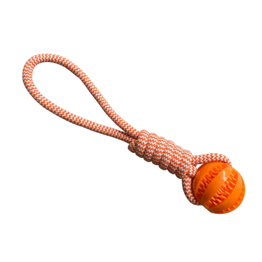 Treat-Dispensing Dog Toy Ball