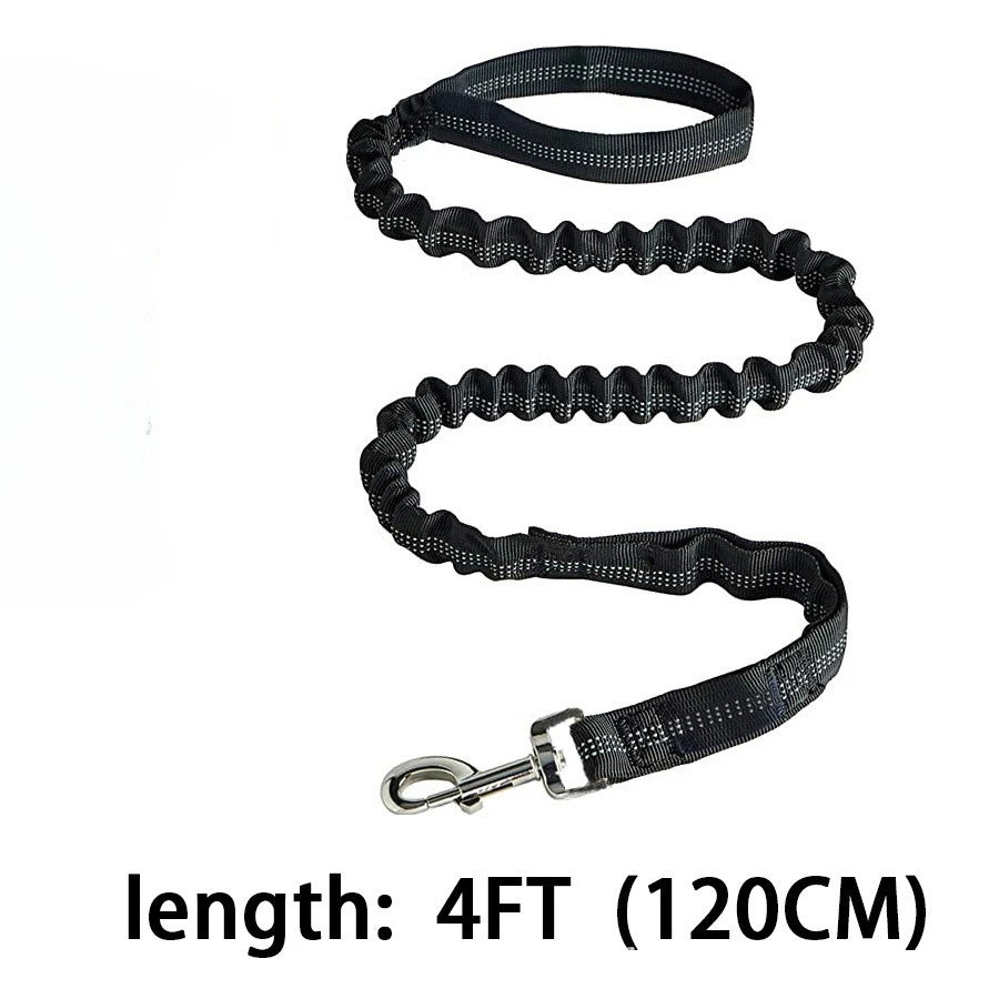 Reflective Bungee Dog Leash