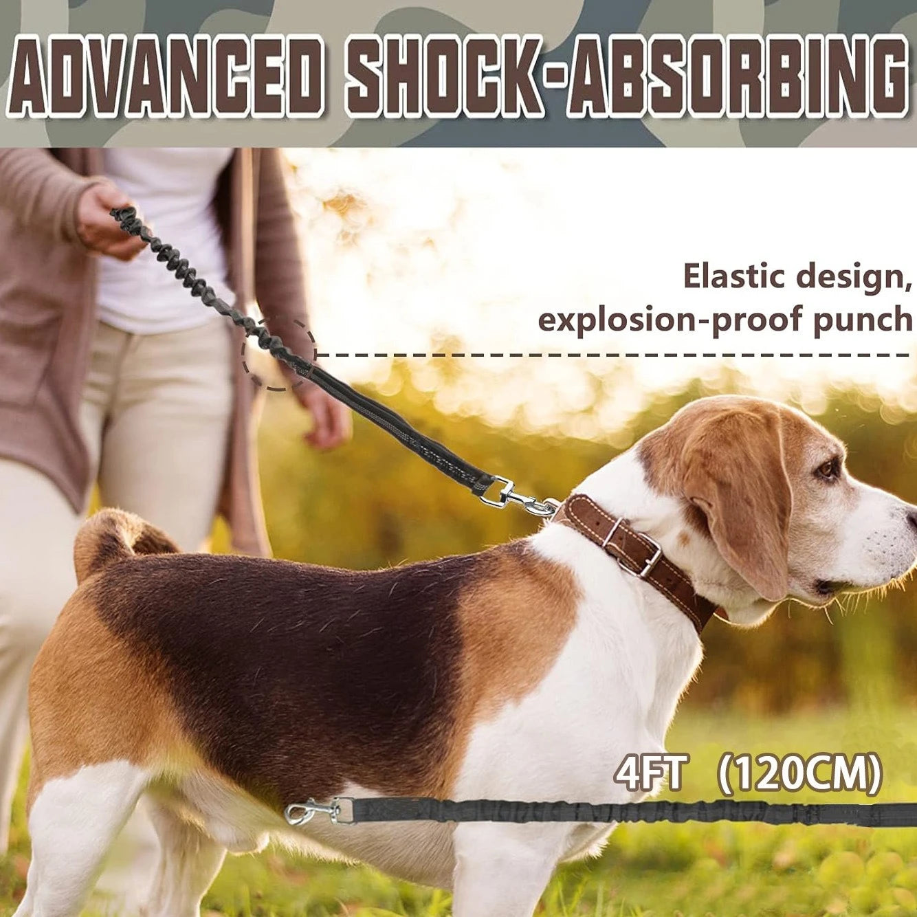 Reflective Bungee Dog Leash