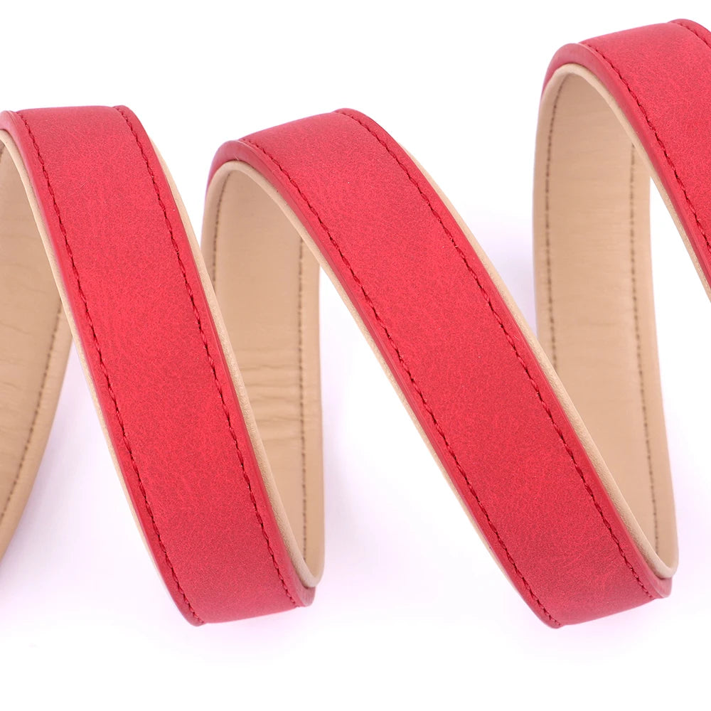 Padded PU Leather Dog Leash