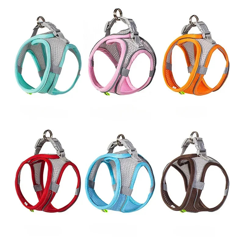 Mini - Small Dog and Cat Harness Leash Set