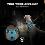 Quest - Padded No-Pull Dog Harness with Handle