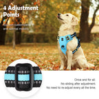 Quest - Padded No-Pull Dog Harness with Handle
