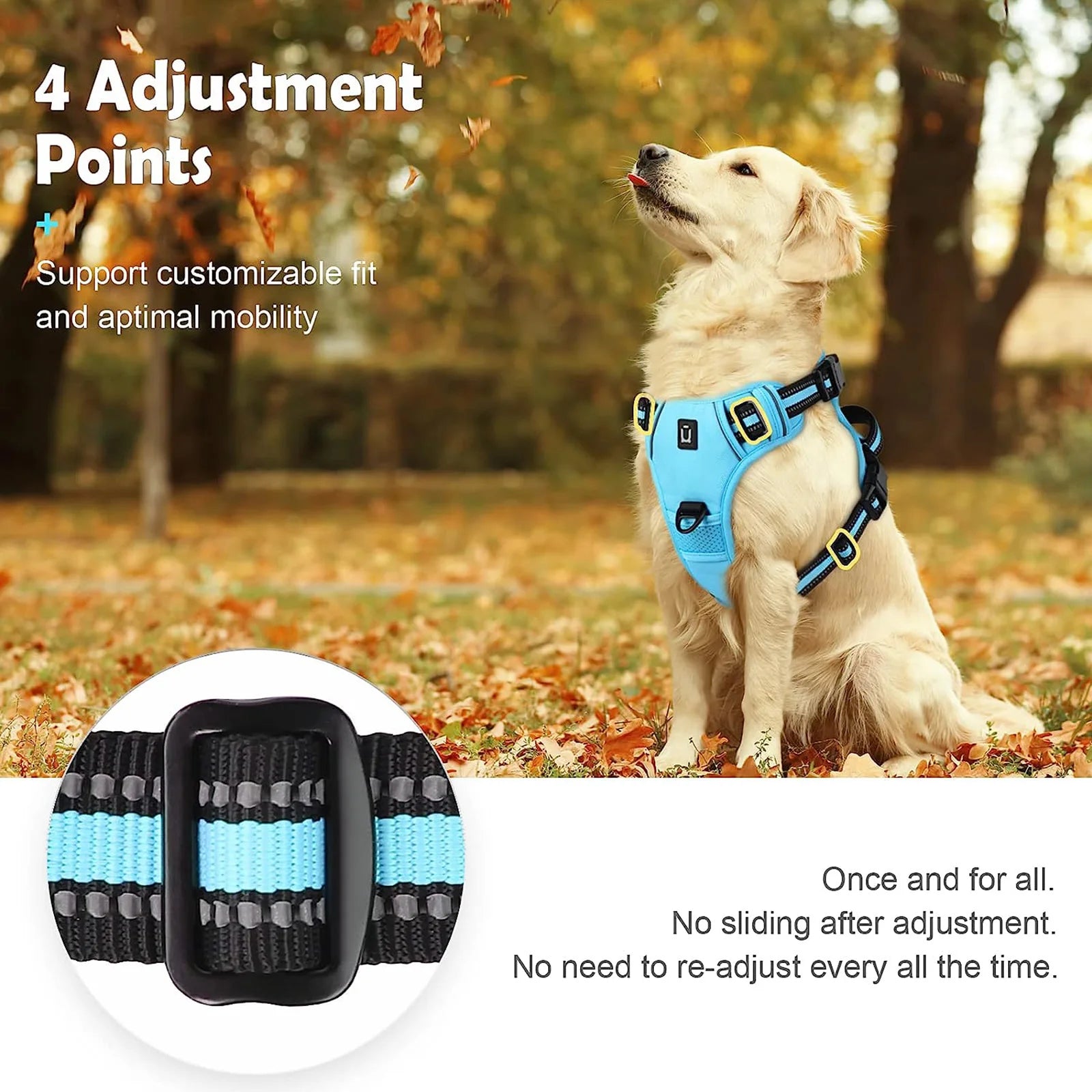 Quest - Padded No-Pull Dog Harness with Handle