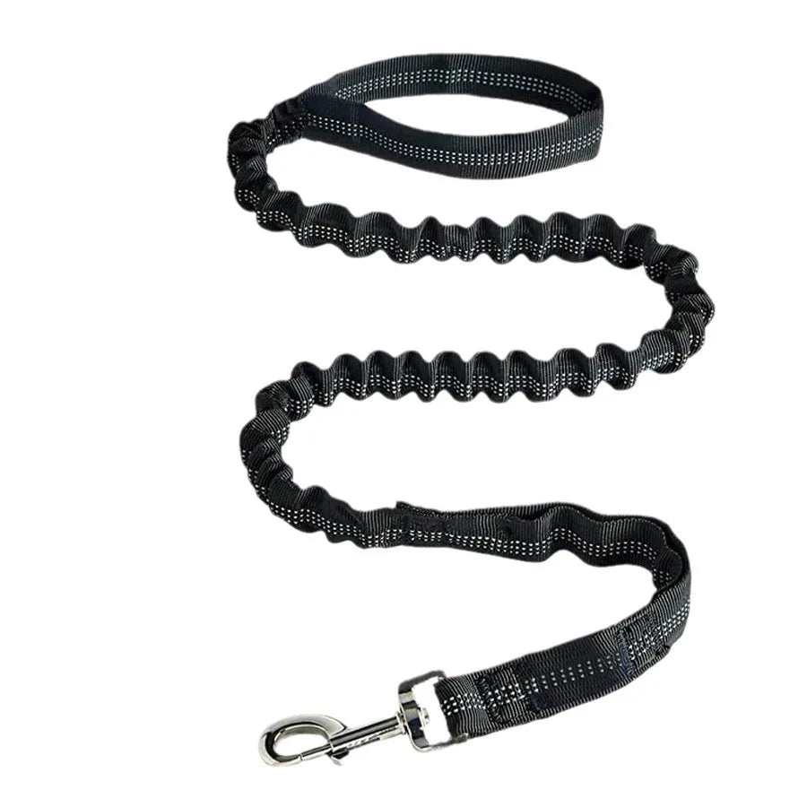 Reflective Bungee Dog Leash