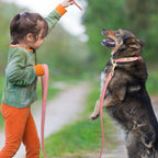 Padded PU Leather Dog Leash