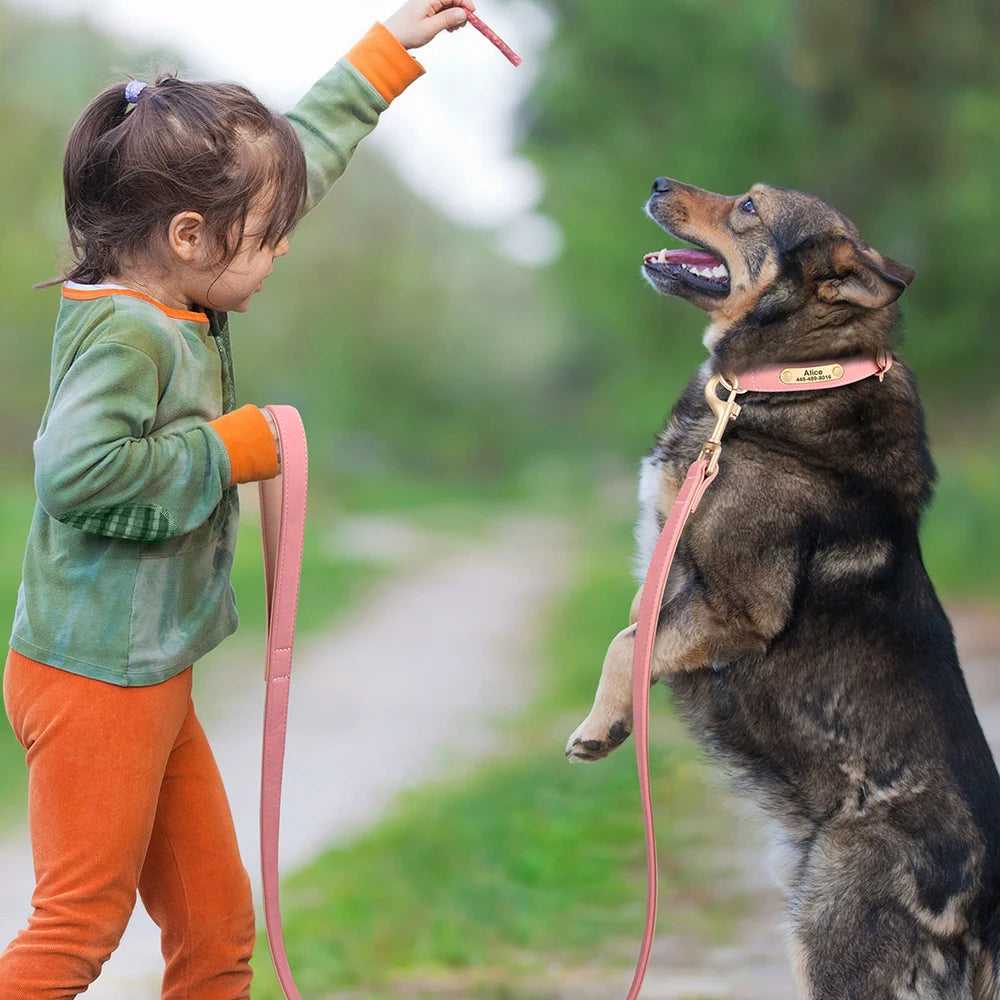 Padded PU Leather Dog Leash