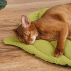 Leaf-Shaped Reversible Pet Mat