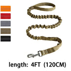 Reflective Bungee Dog Leash