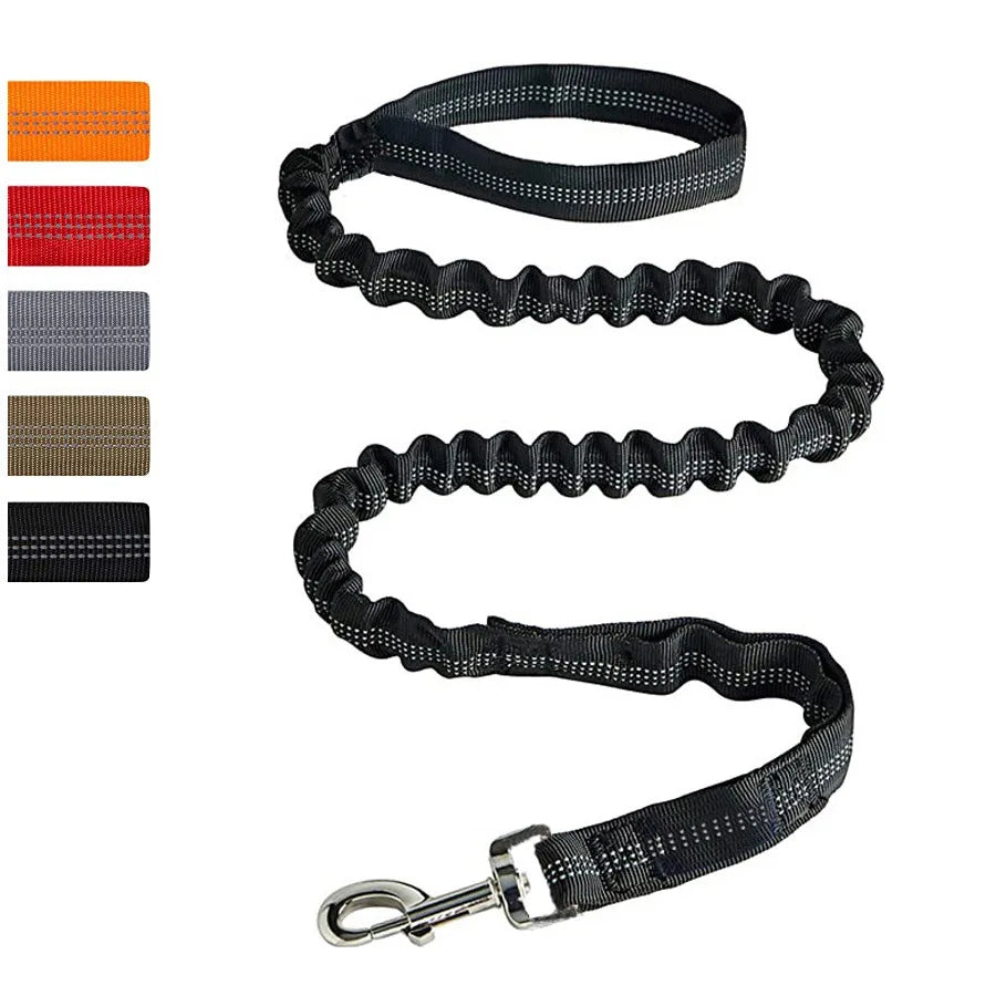 Reflective Bungee Dog Leash