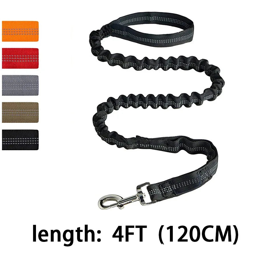 Reflective Bungee Dog Leash