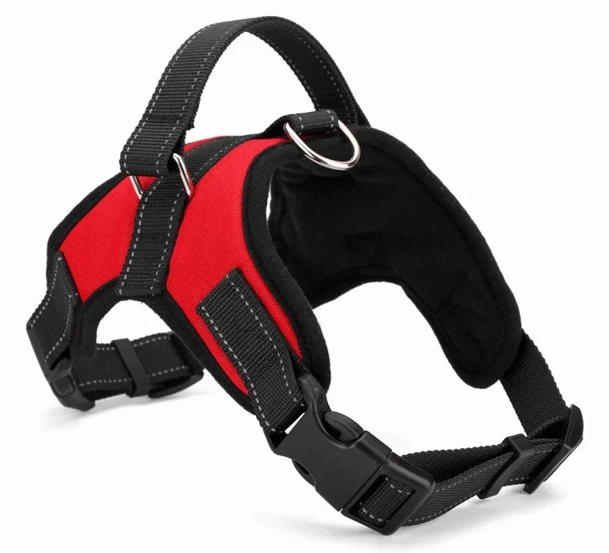 Trail - Quick Release Nylon Dog Harness