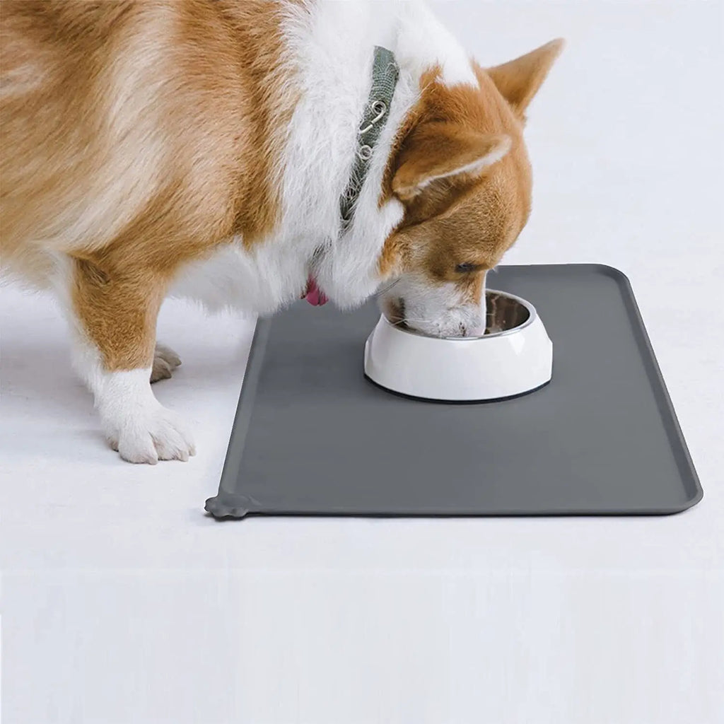 Silicone Pet Feeding Mat with Raised Edge