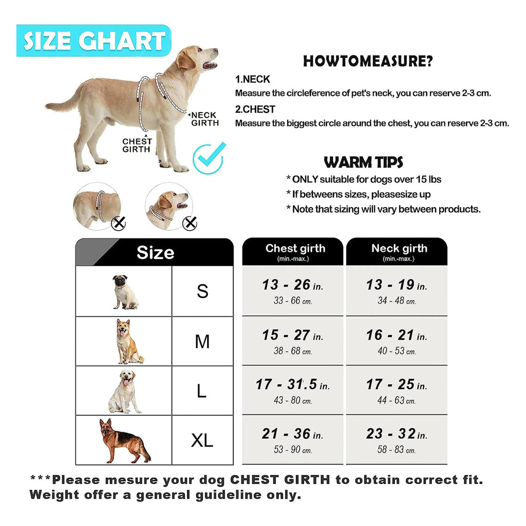 Quest - Padded No-Pull Dog Harness with Handle