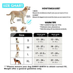 Quest - Padded No-Pull Dog Harness with Handle