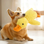 Plush Squeaky Pet Toy