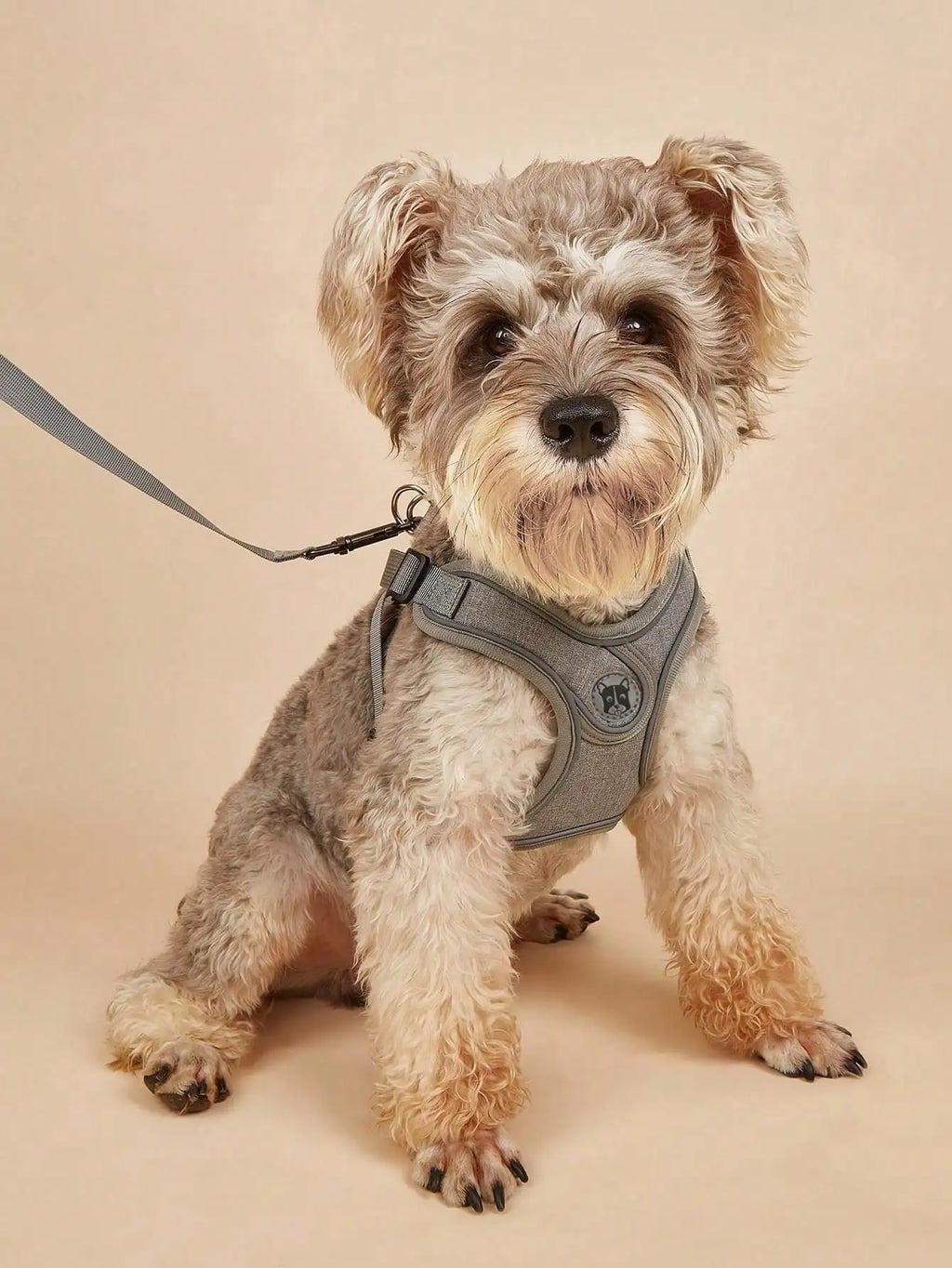 Sprout - Step-In Puppy Harness and Leash Set