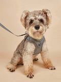 Sprout - Step-In Puppy Harness and Leash Set