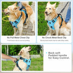 Quest - Padded No-Pull Dog Harness with Handle