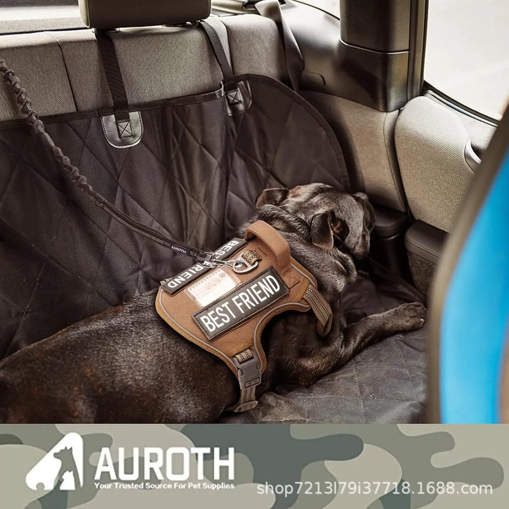 Reflective Bungee Dog Leash