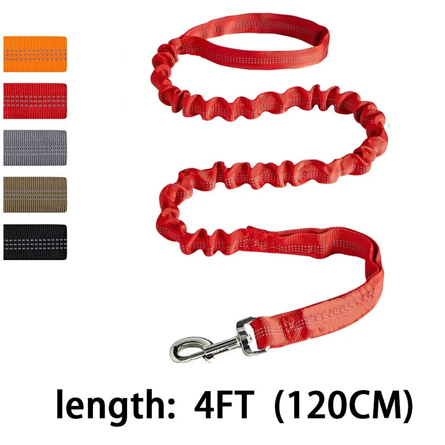 Reflective Bungee Dog Leash