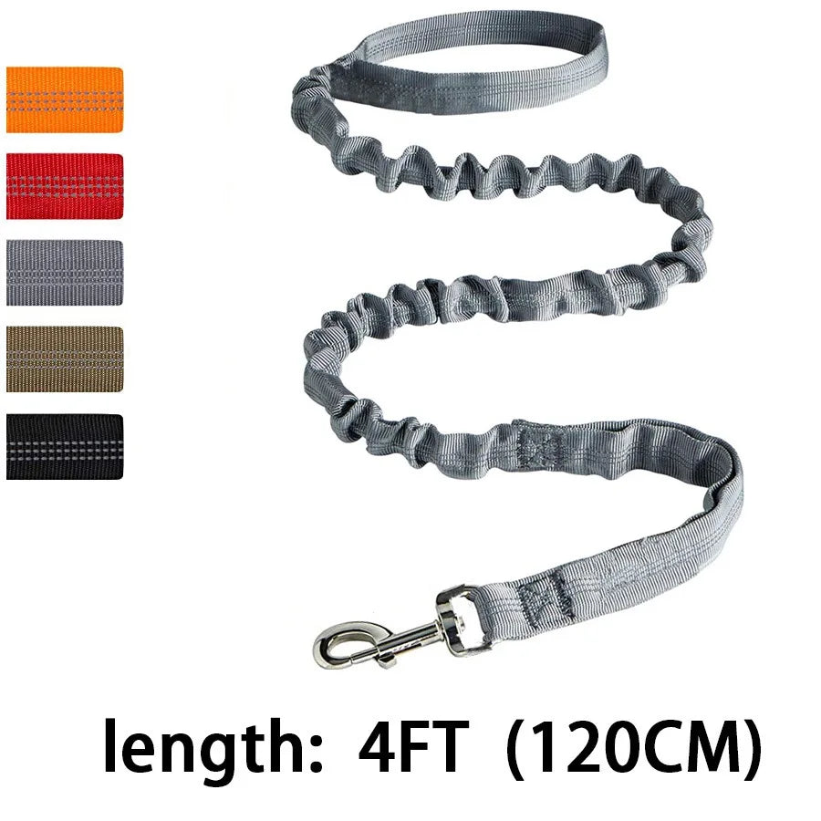 Reflective Bungee Dog Leash