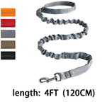 Reflective Bungee Dog Leash