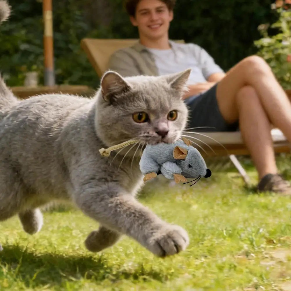 Plush Sound Mouse Cat Toy