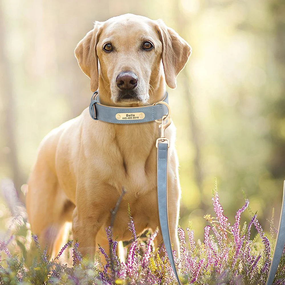 Padded PU Leather Dog Leash