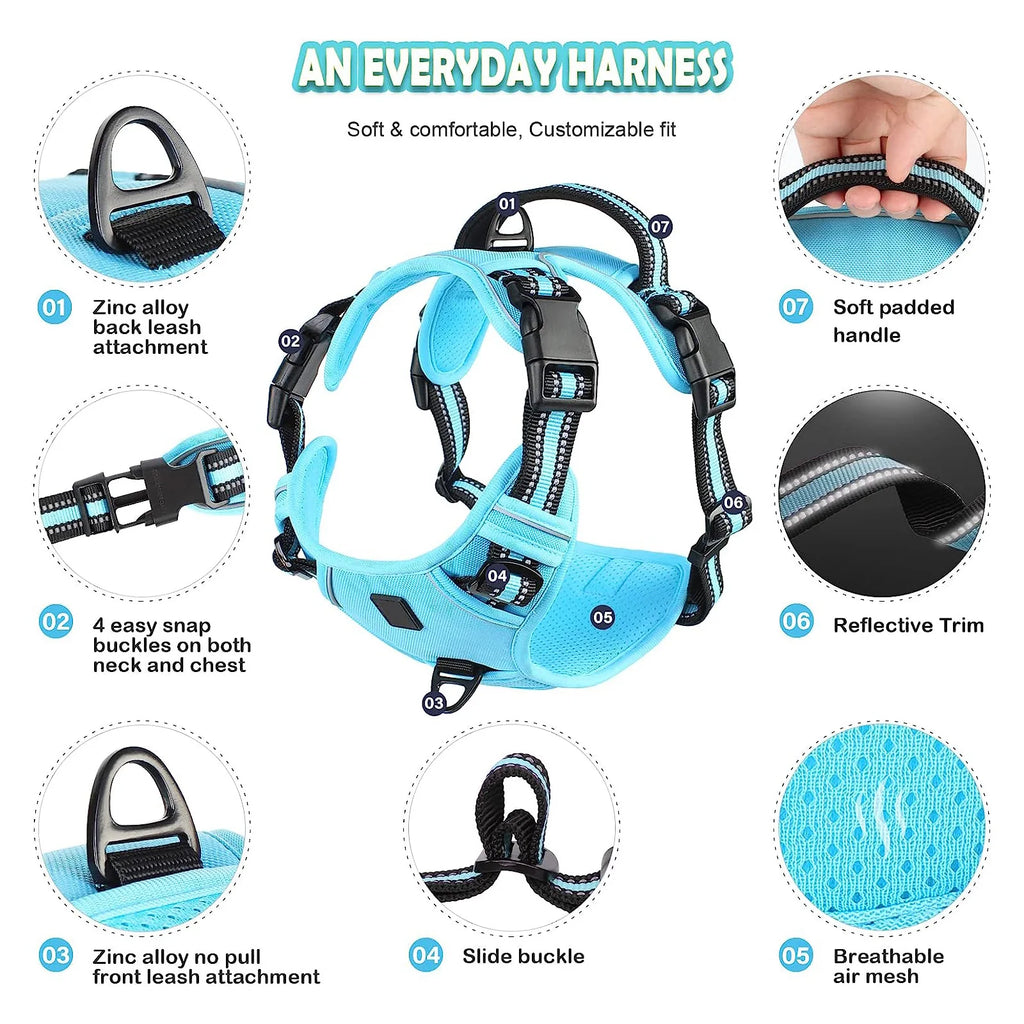 Quest - Padded No-Pull Dog Harness with Handle