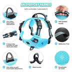 Quest - Padded No-Pull Dog Harness with Handle