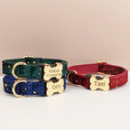 Dash - Personalised Engraved Buckle Dog Collar