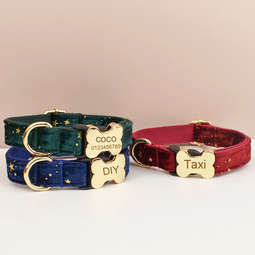Dash - Personalised Engraved Buckle Dog Collar