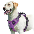 Quest - Padded No-Pull Dog Harness with Handle