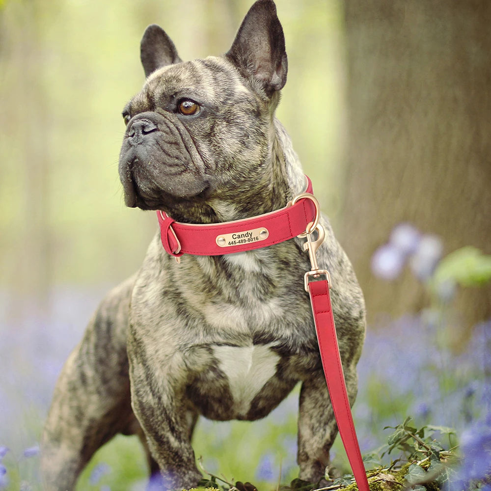 Padded PU Leather Dog Leash