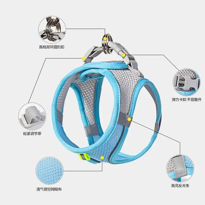 Mini - Small Dog and Cat Harness Leash Set