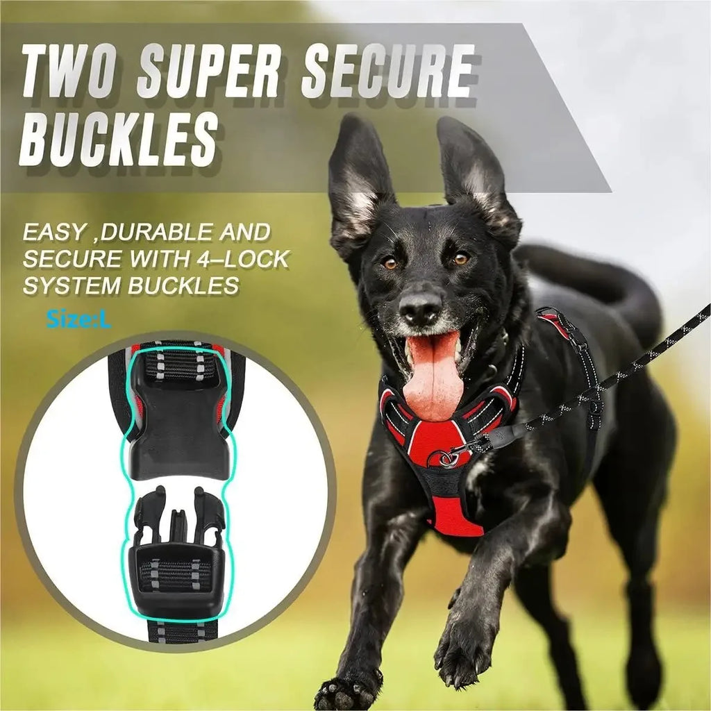 Glide - Adjustable Dog Harness and Leash Set